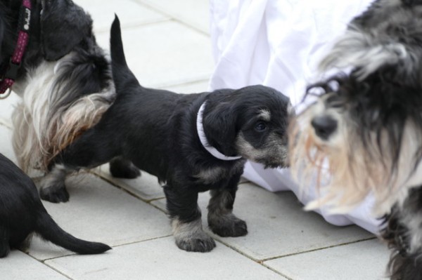 Polly R-Wurf 5 Woche 2025-04-18 001 (130)